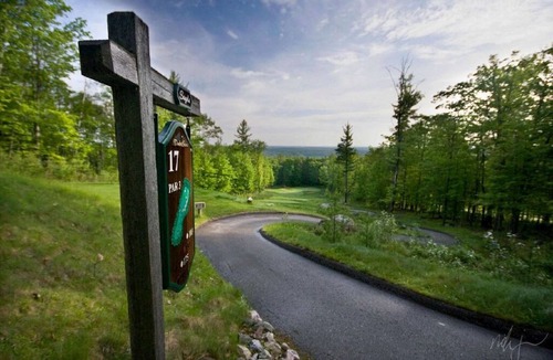 Iron Mountain Condo | Exclusive Upper Cedar Haus Escape | Scenic Views