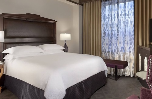 Downtown Fort Worth Hotel | Explore Fort Worth Attractions! Short Drive to Modern Art Museum of Fort Worth