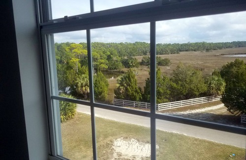 Keaton Beach House | Fish Gills | Keaton Beach Vacation Rentals LLC | Florida Gulf Coast