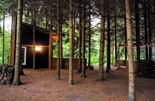 New Tecumseth Cabin | Forest Getaway