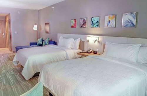 Wesley Chapel Hotel | Free Breakfast, Free Paring, Outdoor Pool | 3 Pet-friendly Units