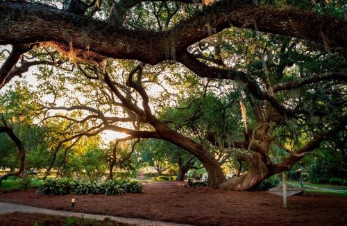 Fairhope Resort | Grand Hotel Golf Resort & Spa, Autograph Collection