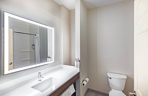 Webster Hotel | Holiday Inn Express Hotel & Suites - Houston Space Center by IHG