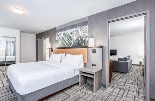 Lafayette Hotel | Holiday Inn Lafayette-City Centre by IHG
