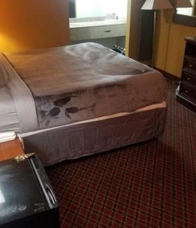 Stillwater Apartment | Hotel 2 Queens Beds Hotel Room 127