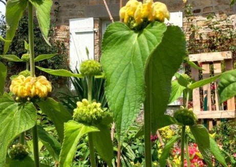 Sartilly-Baie-Bocage Bed & Breakfast | La châtre