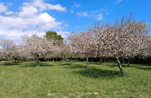 Saint-Germain-le-Gaillard Bed & Breakfast | Location des isles