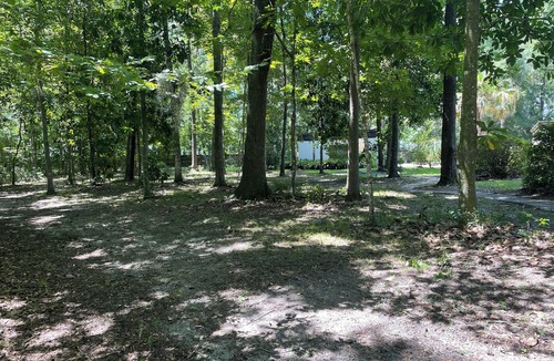 Gainesville House | Marvelous 4-bedroom house with pool and AC in Gainesville