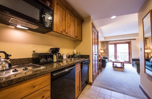Mount Crested Butte Cabin | Modern Studio Condo | Fireplace and Balcony