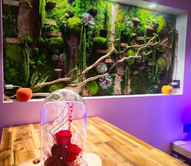 Mont-Saint-Michel-Normandie Apartment | Mont Evasion Spa