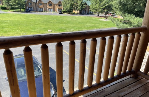 Oglesby Villa | Newer Rustic WiFi Villa by Starved Rock sleeps 7. A guest favorite!