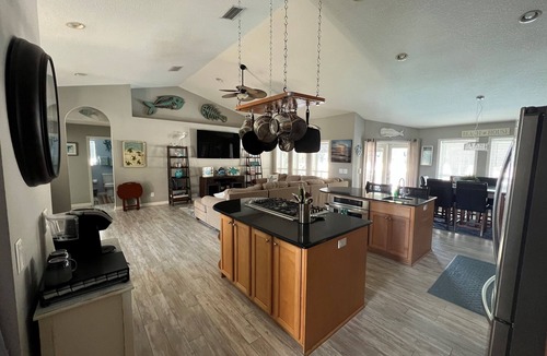 Vilano Beach House | Palm Paradise, Vilano Beach, FL