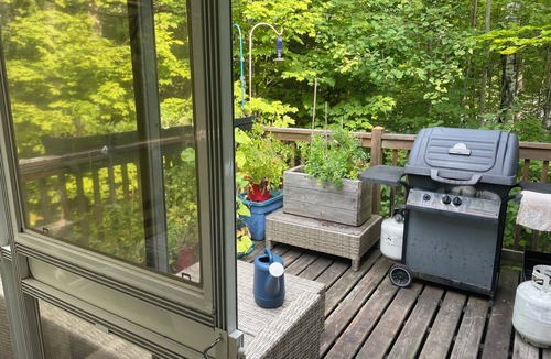 Nominingue Ski Chalet | Peaceful chalet in a magnificent forest for monthly or seasonal rental