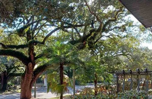 Hannon Park Condo | Pet Friendly Midtown Mobile Condo