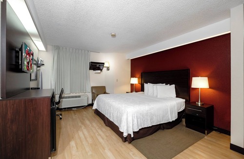 Palm Coast Hotel | Pet-Friendly Stay Near Palm Coast Marina w/Outdoor Pool, Garden & Free Parking!