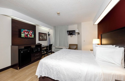 Palm Coast Hotel | Pet-Friendly Stay Near Palm Coast Marina w/Outdoor Pool, Garden & Free Parking!