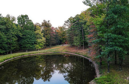 Athens Cabin | Private Cabin, forest retreat near Wolf Pen Gap