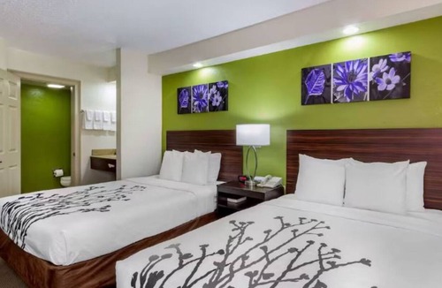 Temple Terrace Hotel | Relax and Unwind Near Busch Gardens Tampa and Adventure Island Water Park