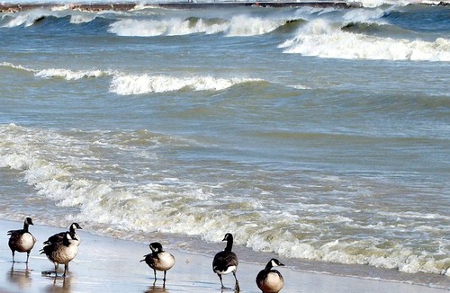 Algoma Condo | Rivers Edge Condominiums, Waterfront condos located in Algoma WI. Lake Michigan
