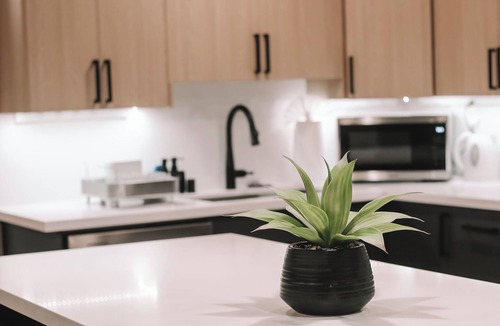 Wallingford House | Rooftop Lake Union & Skyline Views - New Eco Home in Wallingford