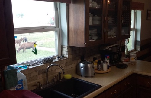 Dublin Bed & Breakfast | Rural Oasis - Cowboy's Private Room & Private Bathroom
