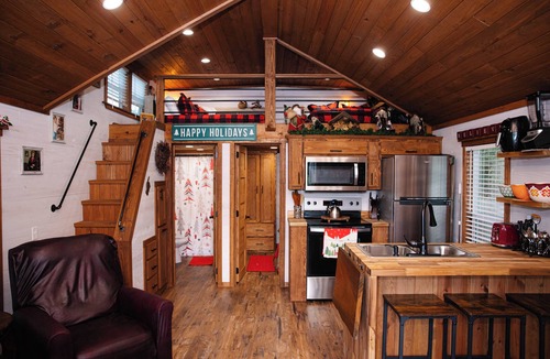 Cairo Cabin | Scrooge: Cozy tiny cabin on Christmas Tree Farm in South Georgia.