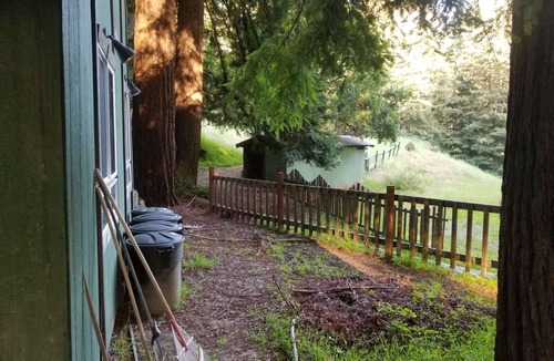 Los Gatos RV Rental | Secluded Small Rustic Camping Cabin In the Redwoods in 45acre Mountain Retreat