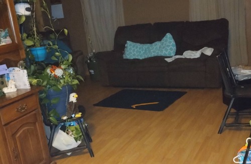 Loves Park House | Small bungalow with hot tub near chicago