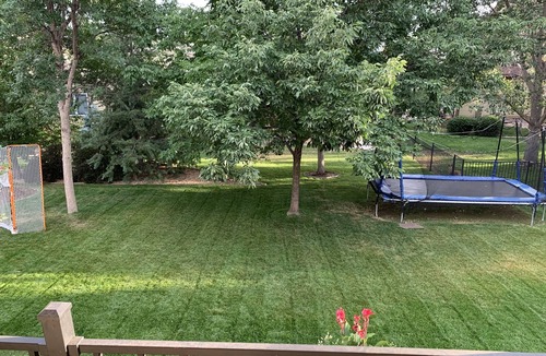 Miramont House | Spacious, Bright, Kid Friendly home in Beautiful Fort Collins.
