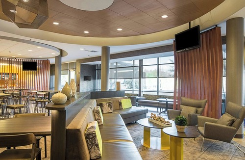New Tampa Hotel | SpringHill Suites by Marriott Tampa North/I 75 Tampa Palms