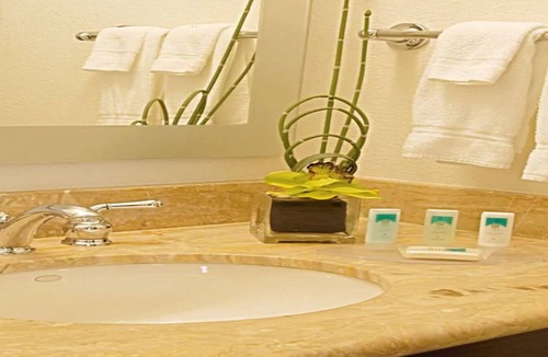 Westshore Hotel | SpringHill Suites by Marriott Tampa Westshore Airport