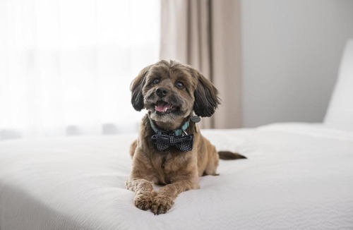 Clearfield Hotel | StudioRes by Marriott Clearfield Layton