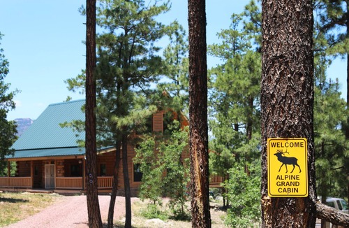 Alpine Cabin | Summer weekend dates available June 25-June 29 in the cool pines of Alpine