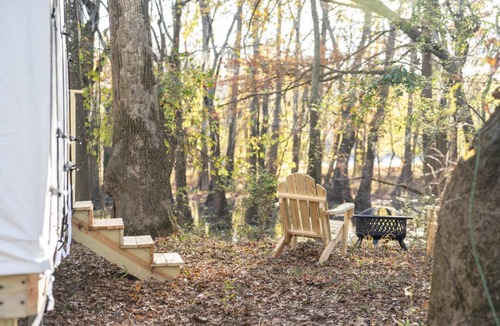 Jackson RV Rental | Tentrr State Park Site - Mississippi LeFleur's Bluff State Park - By the Bayou E