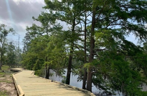 Lake Charles RV Rental | Tentrr State Park Site - Louisiana Sam Houston Jones State Park - Lagoon View E