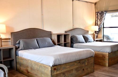 Sutherland Springs Other | Texas Glamping Vacation Waterfront Cabin #18 in Marion, TX