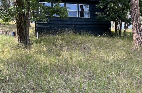 Keystone Cabin | The Blue Bird Cabin