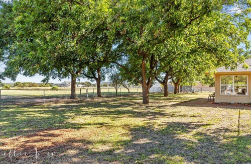Abilene House | The Buffalo Gap Bungalow-Pet-Friendly! Cozy remodeled home surrounded by trees.