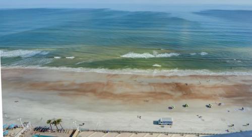 Brush - Stewarts House | Unit 2223 Ocean Walk - 3 Bedroom Ocean Front
