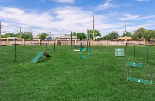 Lubbock Apartment | Updated 2BR with great natural light