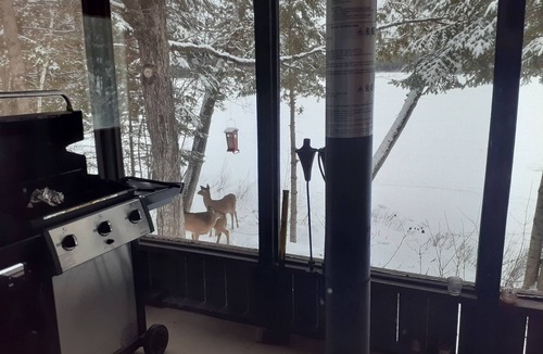 Deleage Cottage | Very private 700 sq ft four season cottage on a one on quiet peaceful lake.