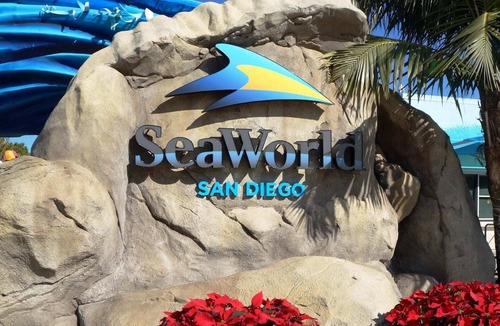 Southwest Anaheim Condo | Work from home in paradise near Disney and Beach