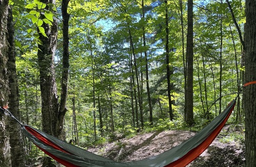 Wakefield Cabin | YURTING IN THE UP - A CAMPFIRE RETREAT IN THE FOREST