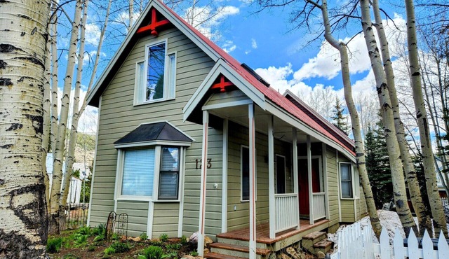 123 Maroon | Classic Crested Butte Home | Walk to Elk | Dog Friendly | Gas Grill
