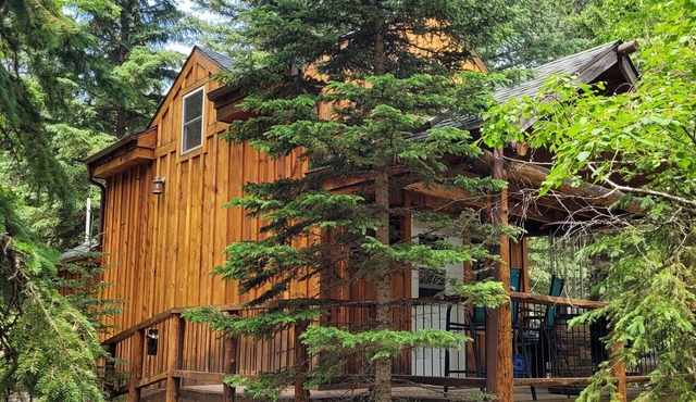 A remote cabin surrounded by Pine, Birch and Aspen trees, five miles to Deadwood