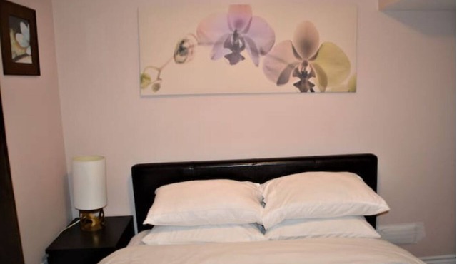 Beautiful and spacious two bed room Basement Apartment