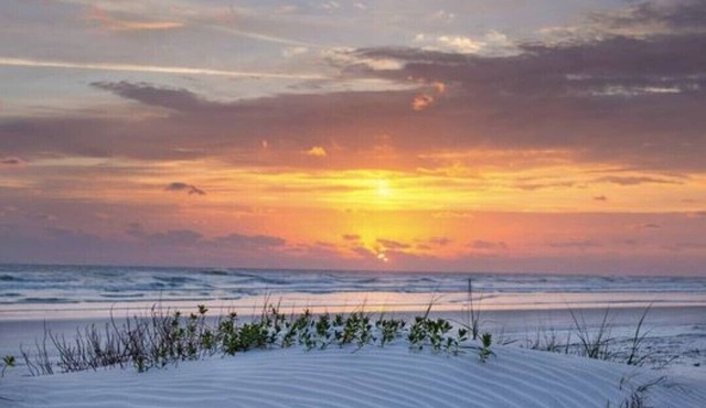 BEAUTIFUL ocean front/view 1 bed condo on NO DRIVE NSB, WIFI