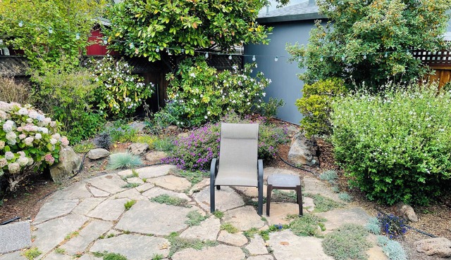 Berkeley/Albany 2 BR Home. Perfect for couples, families, new grandparents! in Berkeley