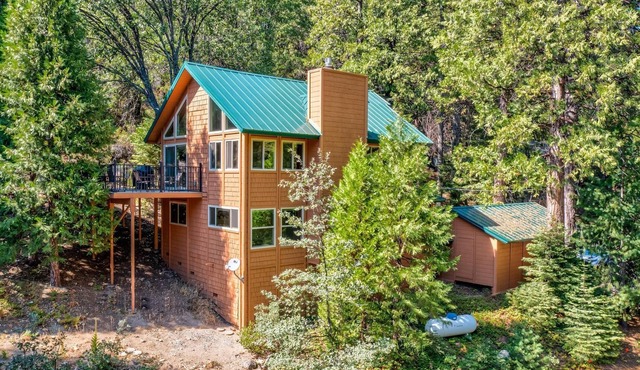 Big Tree Cabin