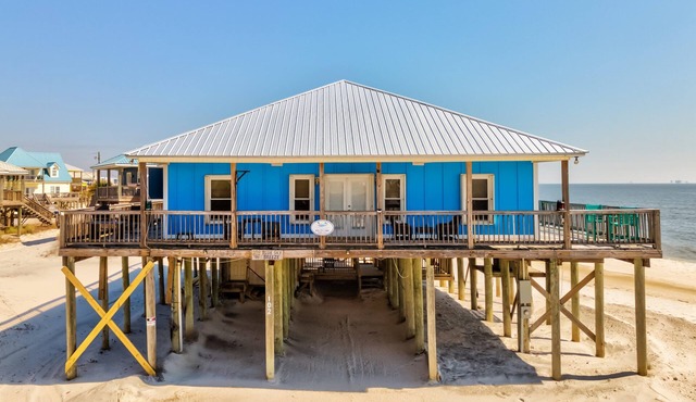 Blue Sky Breeze - Gulf Front, Pet Friendly on the beach